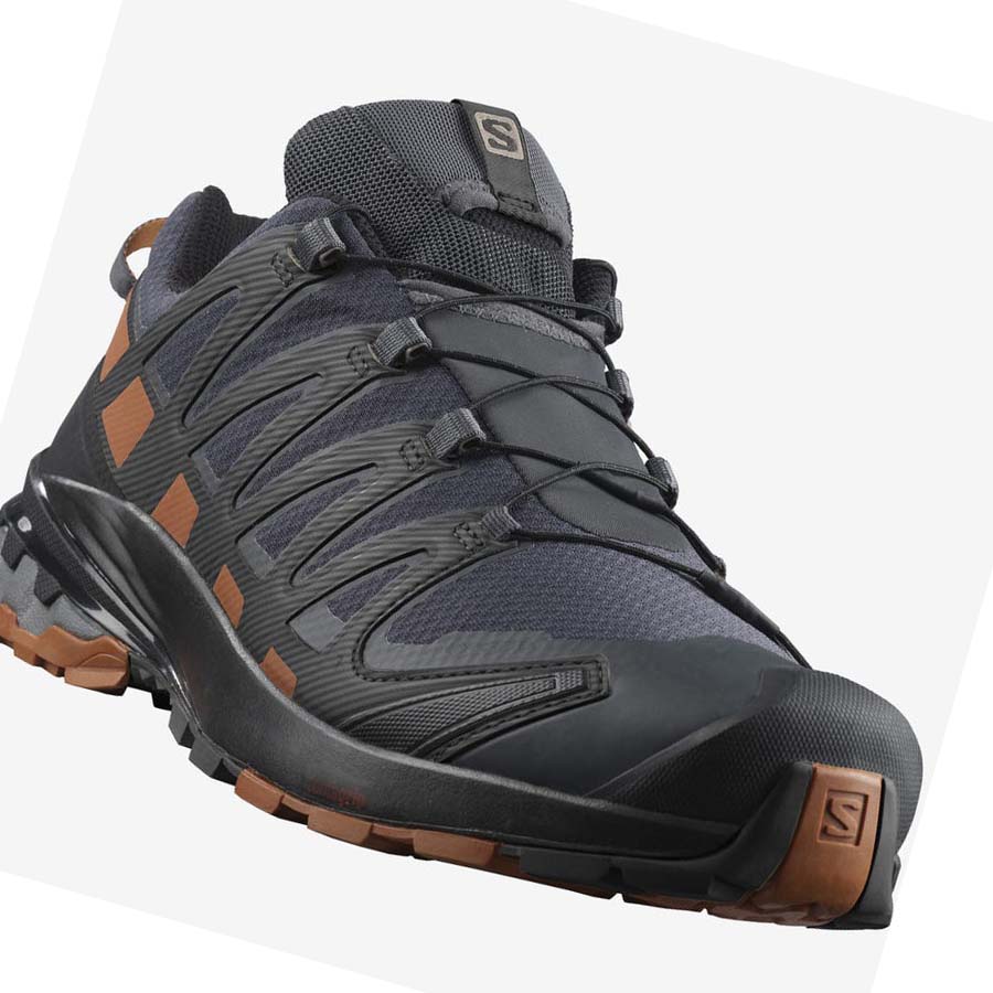 Salomon XA PRO 3D v8 GORE-TEX Erkek Patika Koşu Ayakkabısı Gümüş | TR 3508CTV